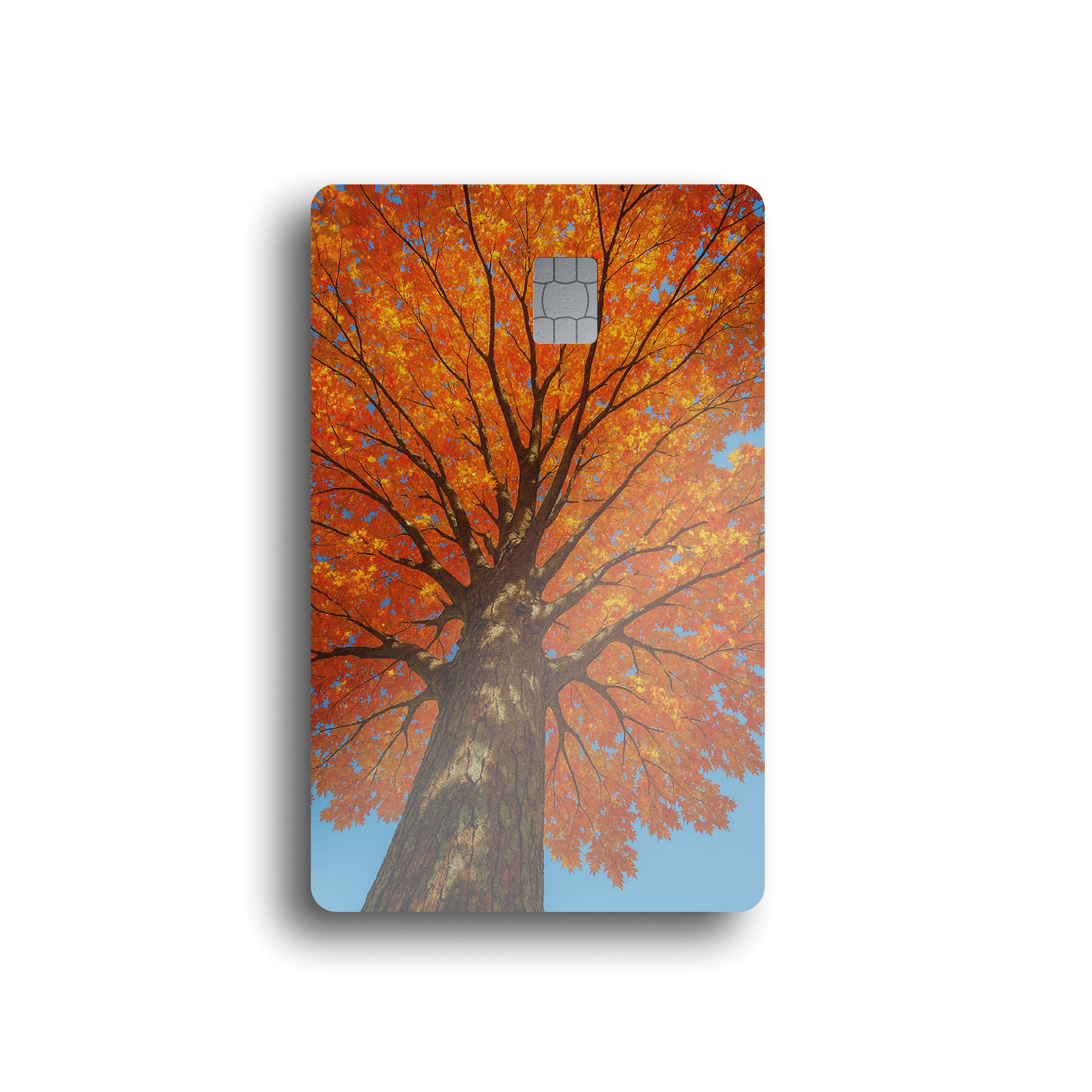 Golden Autumn Tree Card Skin